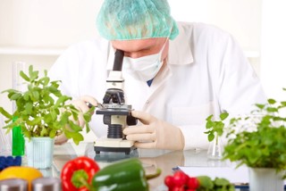 Безопасность продуктов растительного происхождения