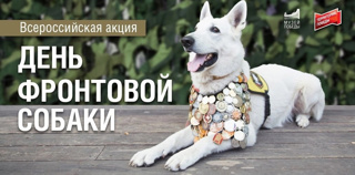 "ДЕНЬ ФРОНТОВОЙ СОБАКИ"!** 🐾