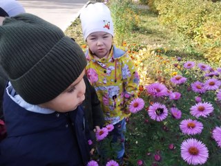 НАБЛЮДЕНИЕ ЗА НАСЕКОМЫМИ НА УЧАСТКЕ ВО ВРЕМЯ ПРОГУЛКИ