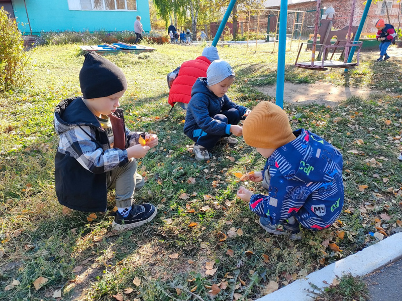 Хороша осенняя прогулка