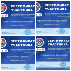 В олимпиаде по пожарной безопасности активное участие приняли обучающиеся школы №8.