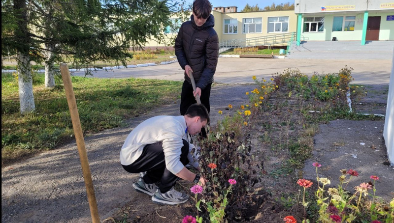 Акция "Посади дерево".