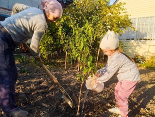 Приняли участие в акции "Посадим дерево с внуком и сохраним его"