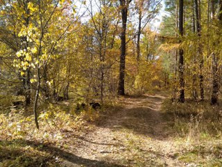 photo_2024-10-11_19-55-58.jpg