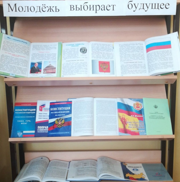 В школе №8 организована книжная выставка «Молодёжь выбирает будущее», приуроченная к Всероссийскому Дню молодого избирателя.