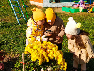 В поисках осенних насекомых