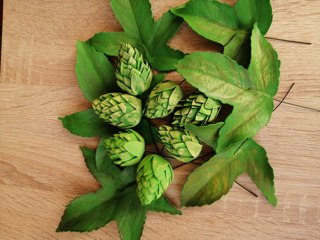 Хмель из фоамирана – своими руками