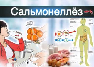 Профилактика сальмонеллеза