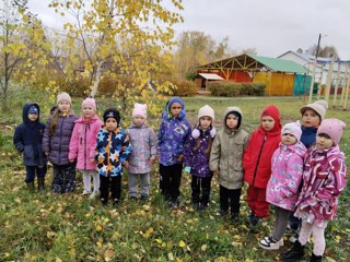 Наблюдение за деревьями на прогулке в осенний период