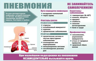 ПРОФИЛАКТИКА гриппа и ОРВИ, COVID, пневмонии