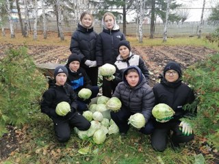 Осень — это не только красивое время года, но и горячая пора уборки урожая