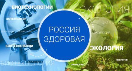 В МБОУ «Яльчикская СОШ им. Героя России Н.А. Петрова» прошли профориентационные занятия в рамках курса «Россия - мои горизонты»