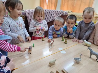 Что мы знаем о домашних животных?