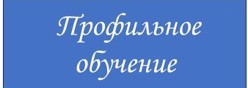 Профильное обучение