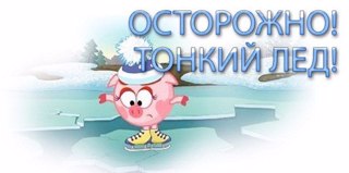 Профилактические мероприятия "Осторожно, тонкий лед!"