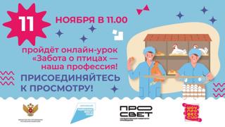 Забота о птицах — наша профессия!