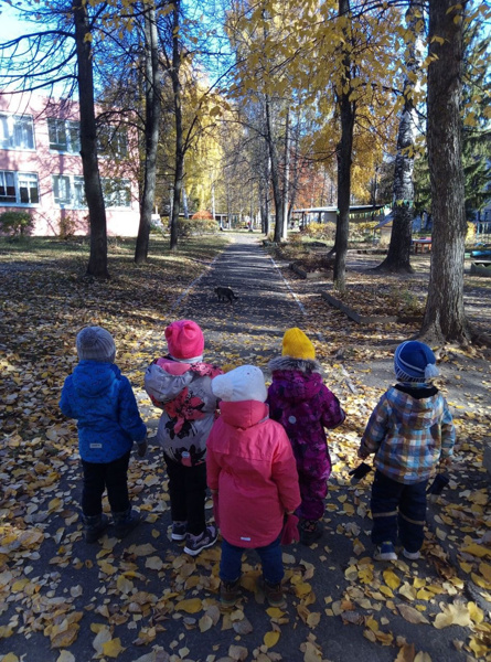 По родному краю с рюкзаком шагаю