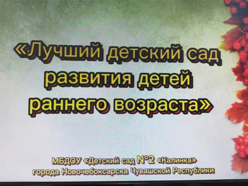 Детский сад № 2 «Калинка» - победитель республиканского конкурса «Лучший детский сад Чувашии – 2024»