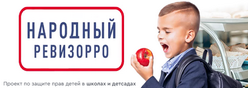 «Народный ревизорро»