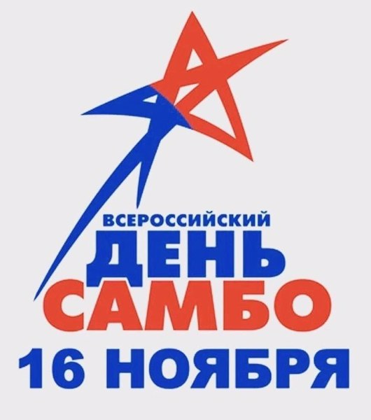 16.11.2024 г. День самбо