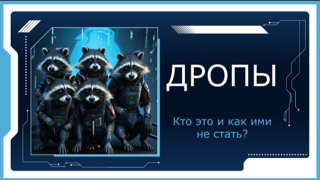 Онлайн-урок по финансовой грамотности «Дропы. Кто это и как ими не стать?»