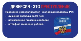 Профилактическое занятие «Противодействие вовлечению несовершеннолетних в совершение диверсий»