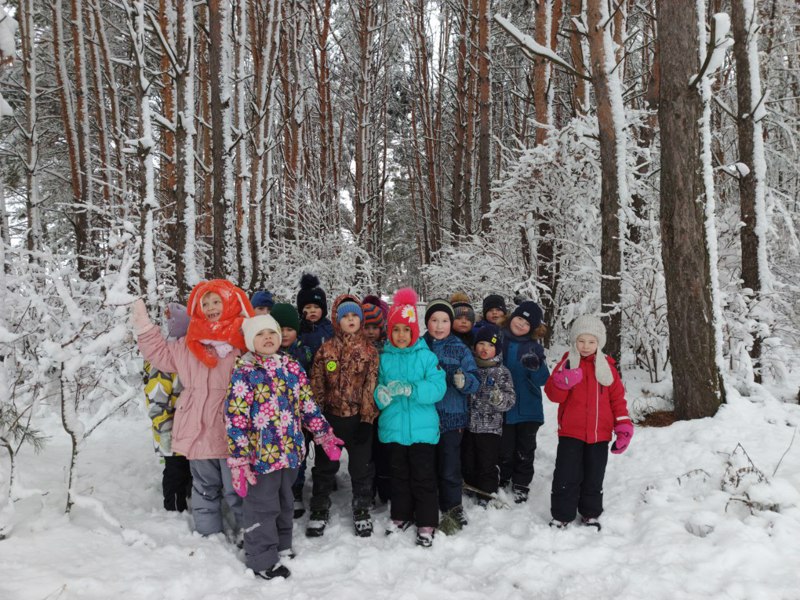 Прогулка в зимний лес.