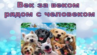 Мои домашние питомцы