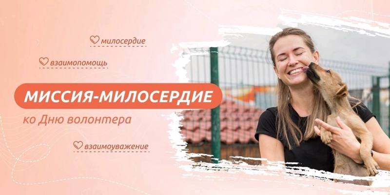 «Миссия - милосердие» - тема «разговора о важном» в этот понедельник