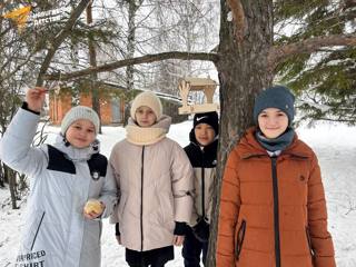 Доброе дело для пернатых друзей