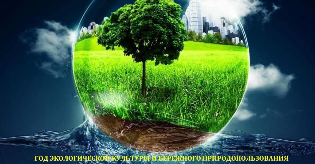 Год экологической культуры и бережного природопользования