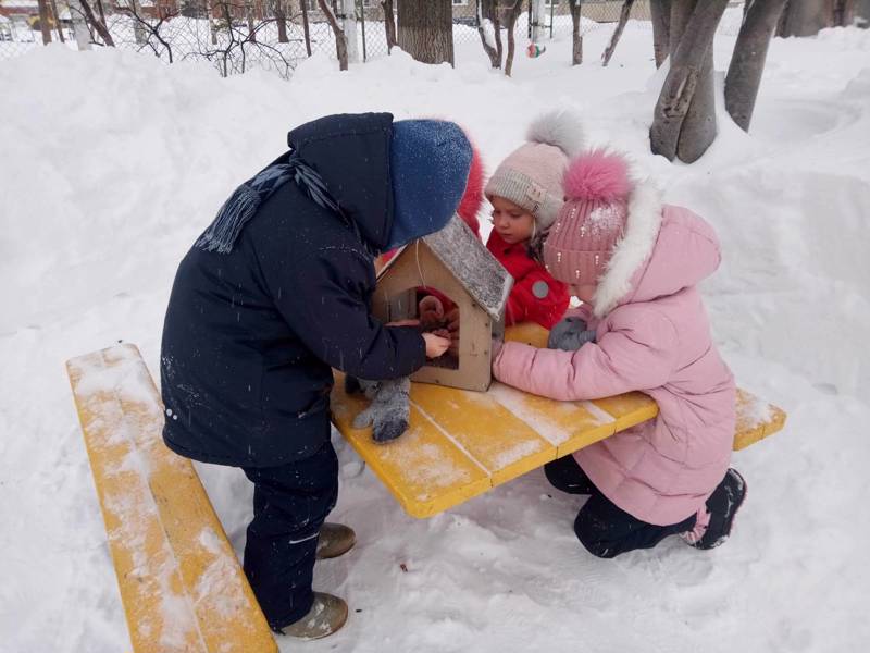 Труд на зимней прогулке