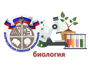 Обучающиеся Урмарской средней школы призеры регионального  этапа ВсОШ по биологии
