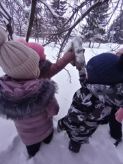 Акция "Покормите птиц зимой!" в МБОУ "Юськасинская СОШ" продолжается в течение всего зимнего периода.