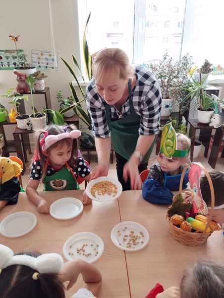 "Как мы сеяли горох и кукурузу".