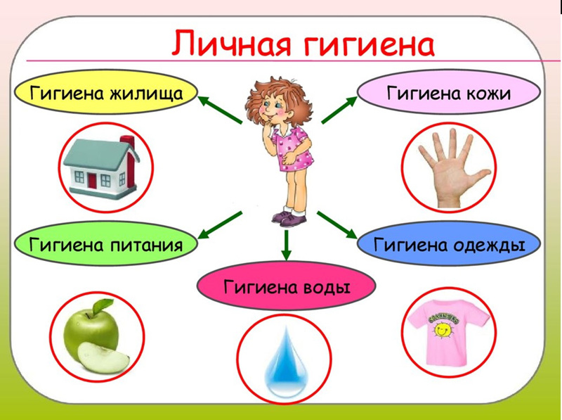 В 6 классе прошел классный час на тему «Личная гигиена школьника»