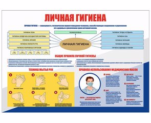 С 9 по 13 декабря проходит Неделя гигиены