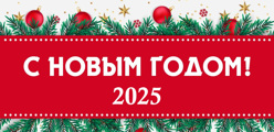 Новогоднее образовательное учреждение - 2025