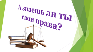 Внеклассное занятие, в рамках празднования Дня Конституции, прошло в 8а классе, классного руководителя А.С. Никифоровой.