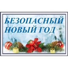 Безопасный Новый год!