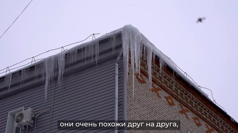 ❄️На дворе февраль, но уже чувствуется дыхание весны