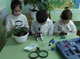 8 февраля - Всемирный день науки отметили ребята детского сада.