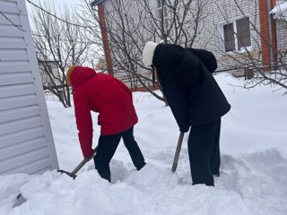 Помощь ветеранам педагогического труда — это не только обязанность, но и честь для каждого ученика школы №7