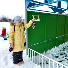 ❄"Мы покормим птиц зимой!"