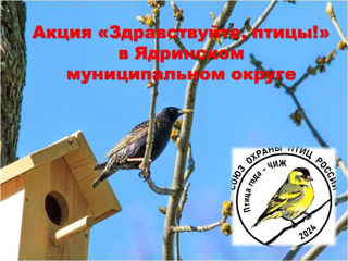 Экологическая акция «Здравствуйте, птицы» в Ядринском муниципальном округе.