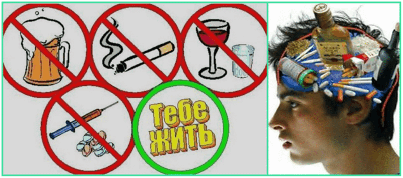 Курение, алкоголизм и развивающийся организм