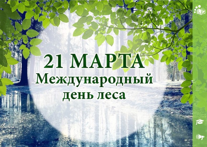 21 марта Международный день леса