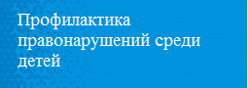 Профилактика правонарушений среди детей