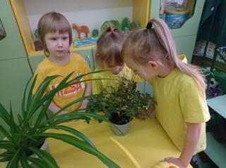 Маленькие исследователи природы