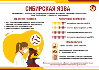 Сибирская язва и меры профилактики